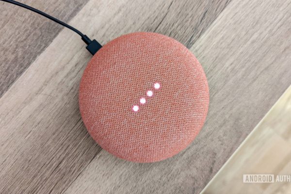 Trasforma il tuo Google Home Mini in un potente speaker smart offline con questo kit!