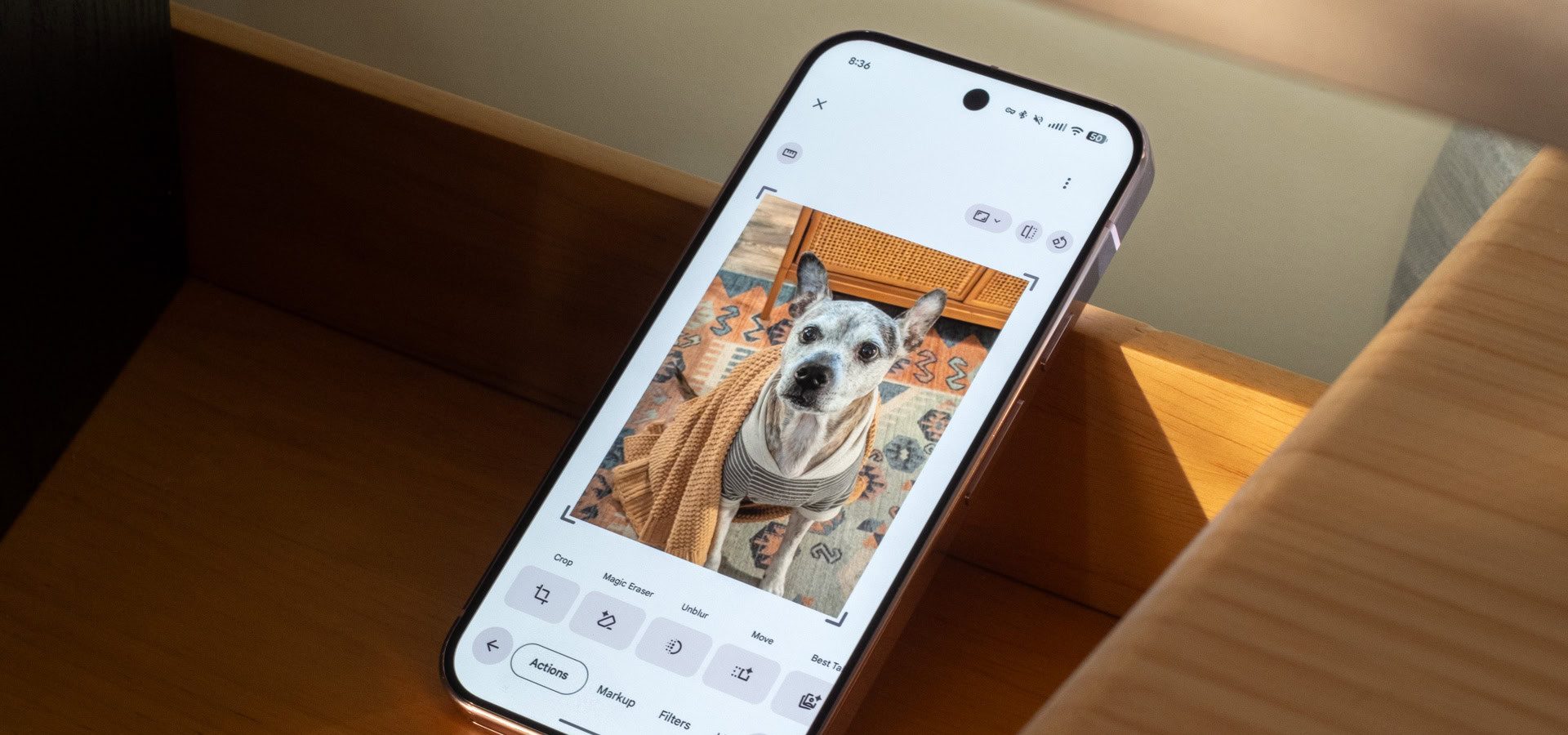 Google Foto: 8 Funzioni Mancanti Che Tutti Vorremmo Avere!