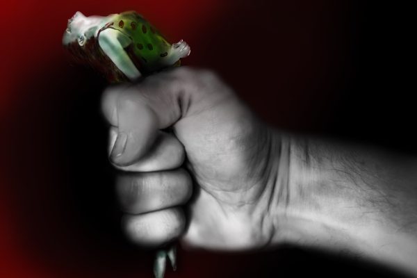 Deepnude e Sextortion: Il Parlamento Richiede Maggiori Poteri per Agcom