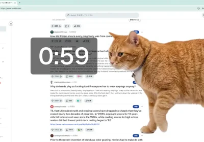 Cat Gatekeeper: il gatto rosso che ci libera dallo scrolling infinito