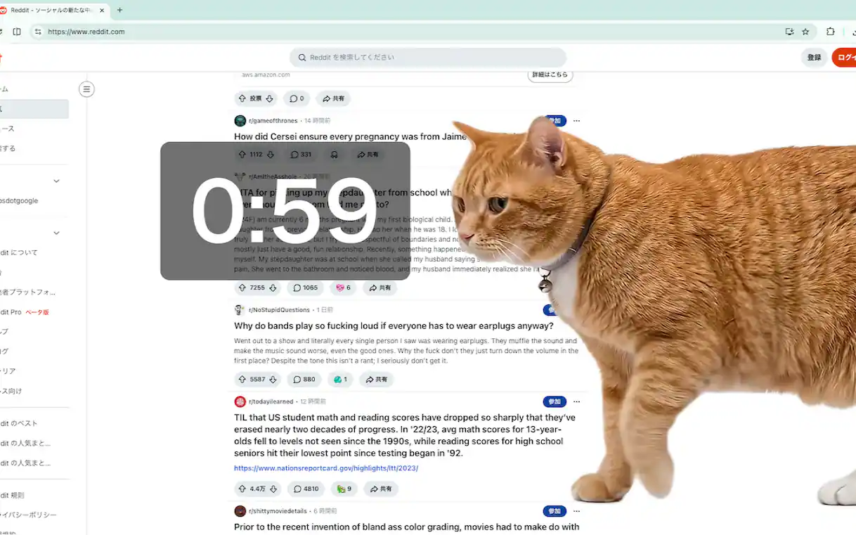 Cat Gatekeeper: il gatto rosso che ci libera dallo scrolling infinito