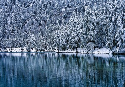 L’AI Rivoluziona l’App Store: Crescita delle Nuove App del 104%