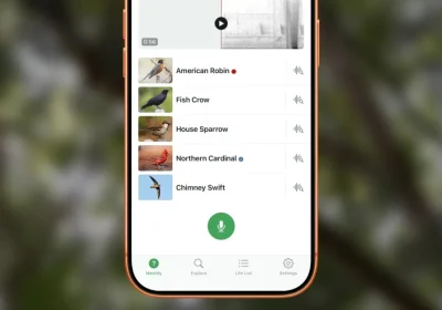 Scopri la Magia della Natura con Questa App Gratuita per iPhone di Cornell!