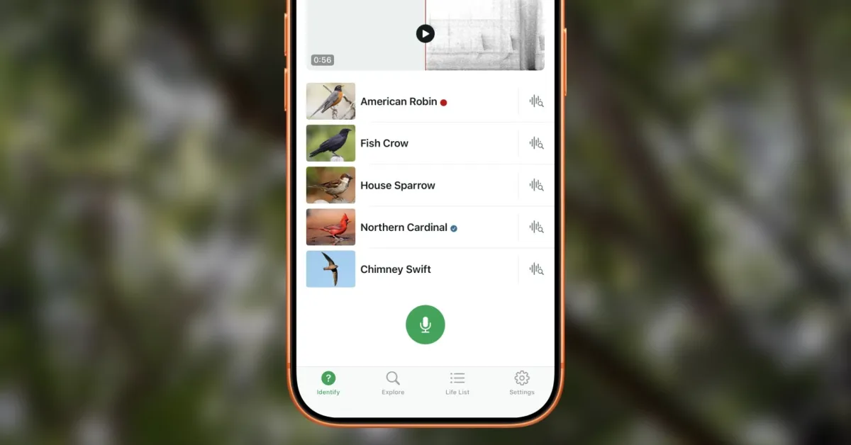 Scopri la Magia della Natura con Questa App Gratuita per iPhone di Cornell!