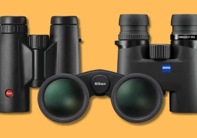 I migliori binocoli in tutte le fasce di prezzo per birdwatching, montagna, concerti e osservazioni notturne