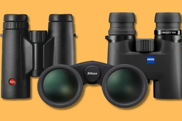 I migliori binocoli in tutte le fasce di prezzo per birdwatching, montagna, concerti e osservazioni notturne