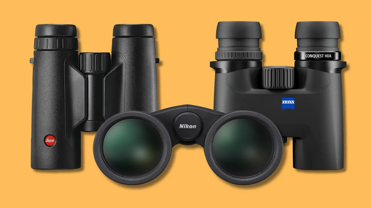 I migliori binocoli in tutte le fasce di prezzo per birdwatching, montagna, concerti e osservazioni notturne
