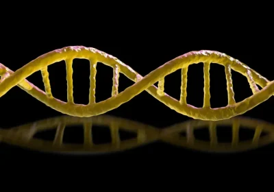 Il Download: Batteri ‘specchio’ letali e operai cinesi in lotta contro i doppi dell’AI