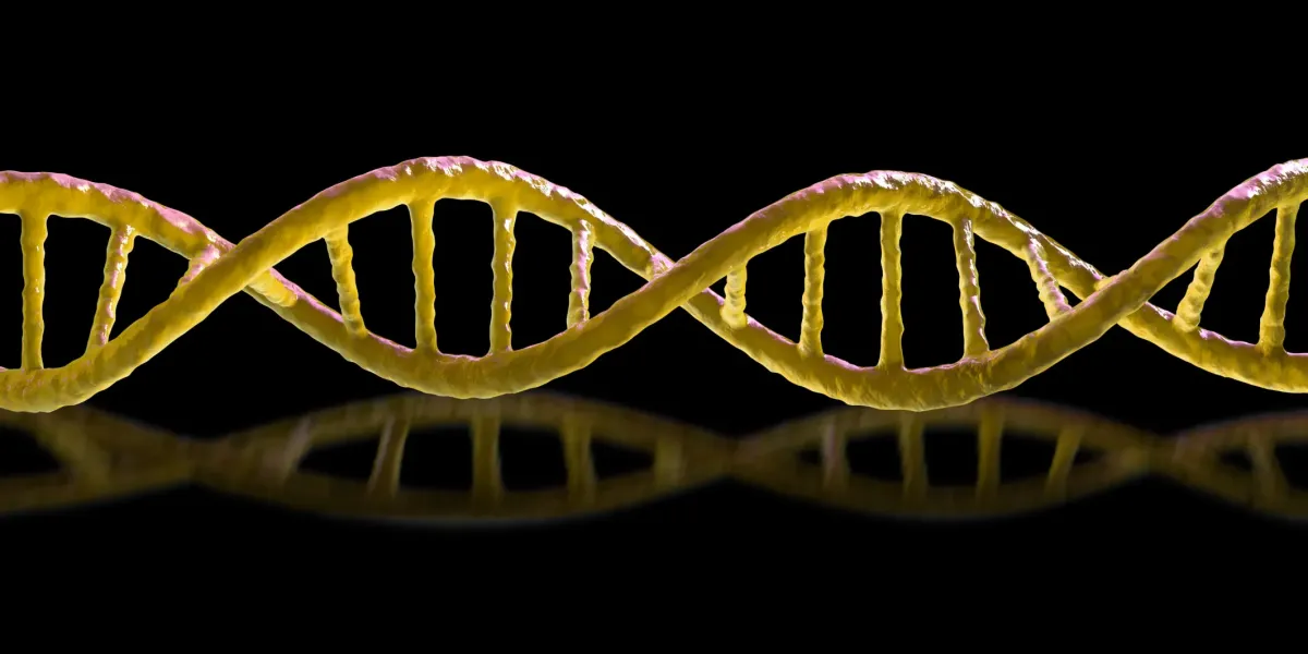 Il Download: Batteri ‘specchio’ letali e operai cinesi in lotta contro i doppi dell’AI