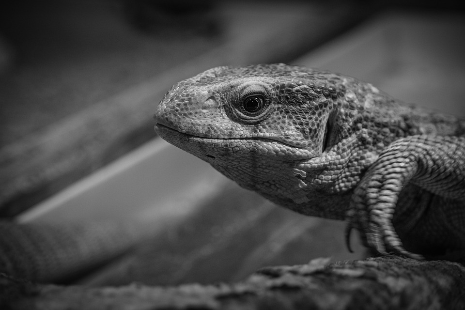 Monitor LG UltraGear 27″ 4K: scopri lo sconto imperdibile!