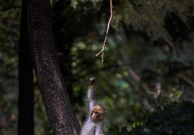 Scopri la nuova beta 3 di iOS 26.5: tutte le novità!