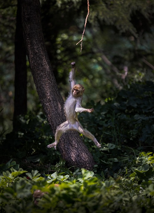 Scopri la nuova beta 3 di iOS 26.5: tutte le novità!