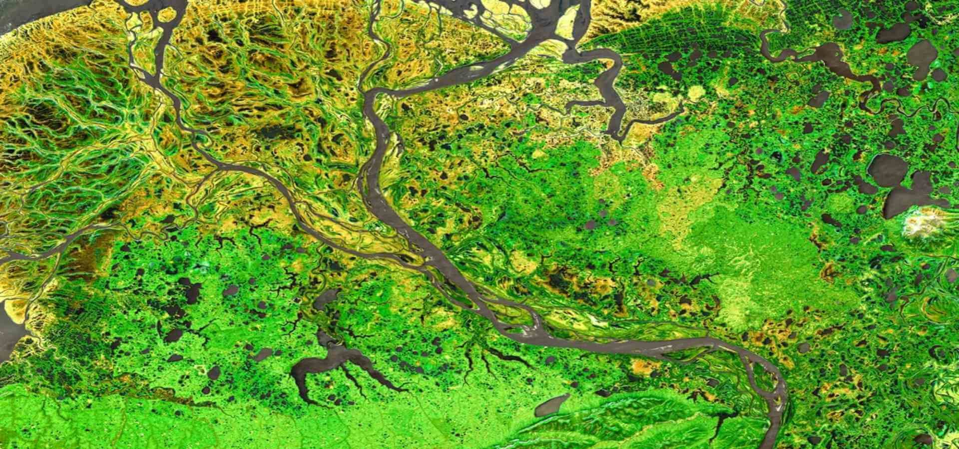 SWIFTT: L’Innovativo Progetto Europeo che Utilizza l’AI per Salvaguardare le Foreste