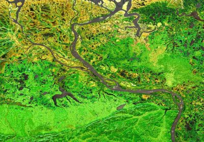 SWIFTT: L’Innovativo Progetto Europeo che Utilizza l’AI per Salvaguardare le Foreste