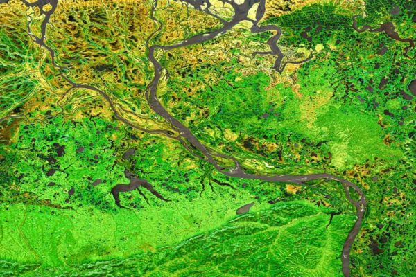 SWIFTT: L’Innovativo Progetto Europeo che Utilizza l’AI per Salvaguardare le Foreste