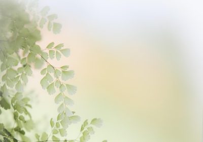 iPhone 18: Una Nuova Strategia Meno Ambiziosa?