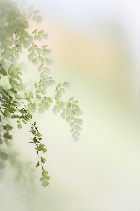 iPhone 18: Una Nuova Strategia Meno Ambiziosa?