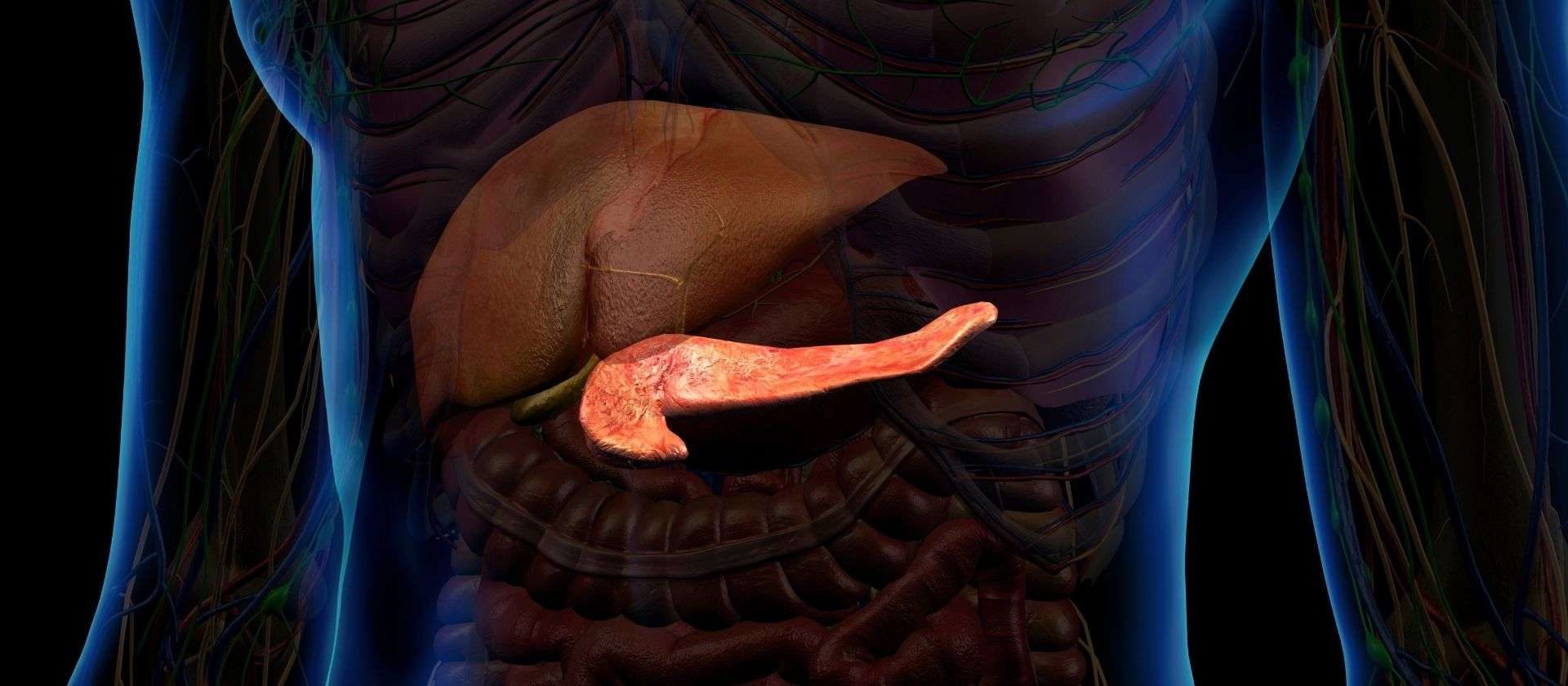 Un vaccino prolunga la vita dei pazienti con cancro al pancreas di 6 anni