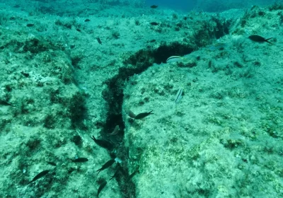 La Misteriosa Faglia dell’Oceano Pacifico: Scopriamo il Segreto dei Terremoti Regolari