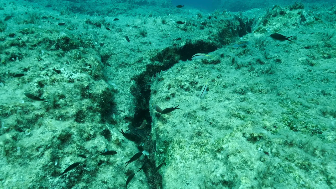 La Misteriosa Faglia dell’Oceano Pacifico: Scopriamo il Segreto dei Terremoti Regolari