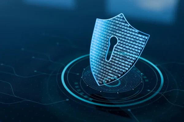 Strategie efficaci per proteggere i tuoi dati online