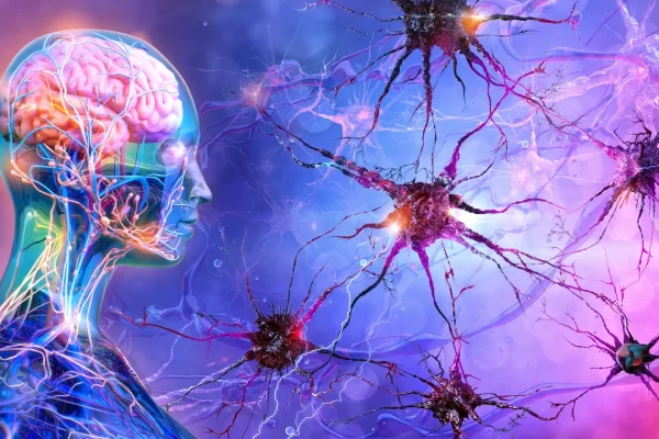 Scopri il Neurosleeper: il dispositivo che riduce il sonno, un’innovazione affascinante dalla mente di un neuroscienziato!