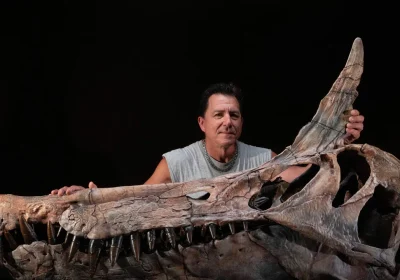 Il misterioso Spinosaurus mirabilis: la straordinaria storia della sua scoperta svelata dai protagonisti