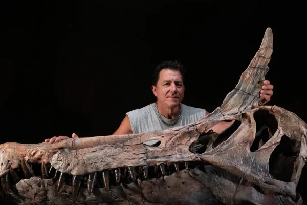 Il misterioso Spinosaurus mirabilis: la straordinaria storia della sua scoperta svelata dai protagonisti
