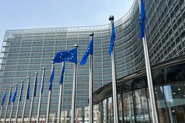 Digital Markets Act: Due Anni Dopo tra Successi e Critiche
