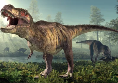 Perché il T. rex aveva le braccia corte? Scopri il paradosso evolutivo dietro la sua anatomia!