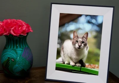 Risparmia 30$ su Aura’s Aspen: Regalo Perfetto per la Festa della Mamma!