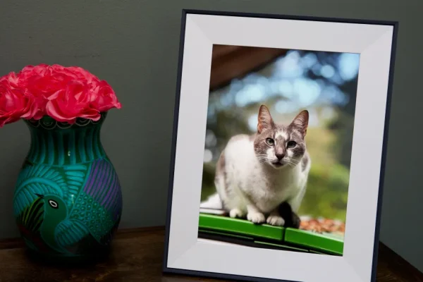 Risparmia 30$ su Aura’s Aspen: Regalo Perfetto per la Festa della Mamma!