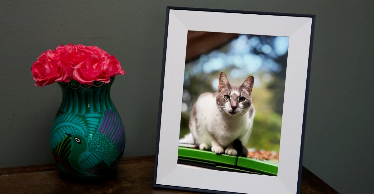 Risparmia 30$ su Aura’s Aspen: Regalo Perfetto per la Festa della Mamma!