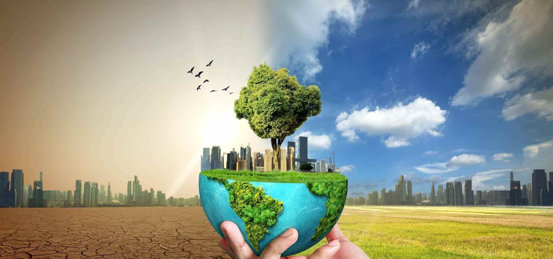 Prevenzione degli Incidenti Stradali: Come la ISO 39001 Affronta il Clima Estremo