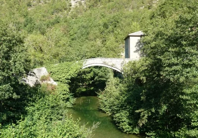 Assassin’s Creed al Parco delle Foreste Casentinesi: tra Set Reali, Intelligenza Artificiale e Sfide nella Gestione Forestale