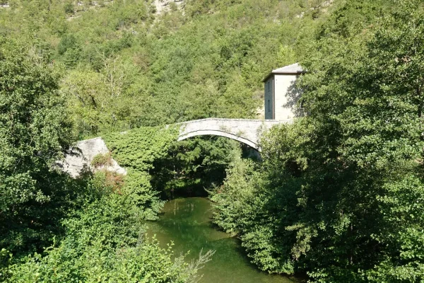 Assassin’s Creed al Parco delle Foreste Casentinesi: tra Set Reali, Intelligenza Artificiale e Sfide nella Gestione Forestale