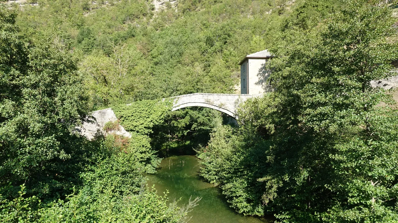 Assassin’s Creed al Parco delle Foreste Casentinesi: tra Set Reali, Intelligenza Artificiale e Sfide nella Gestione Forestale