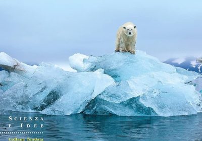 I libri imprescindibili sul cambiamento climatico da leggere assolutamente