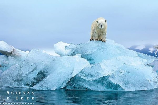 I libri imprescindibili sul cambiamento climatico da leggere assolutamente