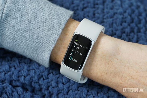 Attenzione proprietari di Fitbit: rischiate di perdere anni di dati se non agite subito!