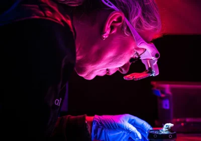 Uova di Pollo Interamente Artificiali: Scopri Perché Musk Ha Perso la Scommessa!
