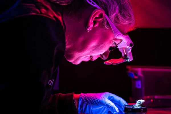 Uova di Pollo Interamente Artificiali: Scopri Perché Musk Ha Perso la Scommessa!