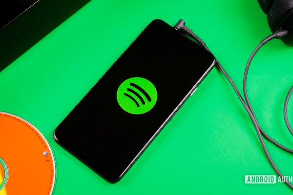 Questa popolare funzione di Spotify per i podcast potrebbe arrivare anche per la musica!