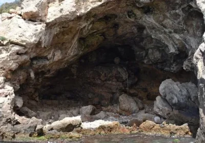 Neanderthal: esperti nella raccolta di molluschi e crostacei e nella conoscenza dei cicli ecologici marini