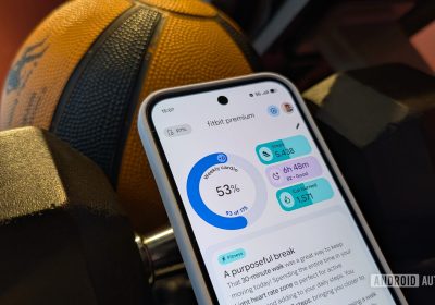 Google sospende le funzionalità social dell’app Fitbit