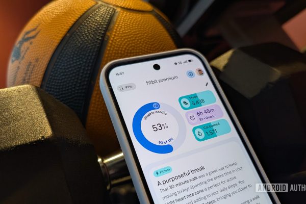 Google sospende le funzionalità social dell’app Fitbit