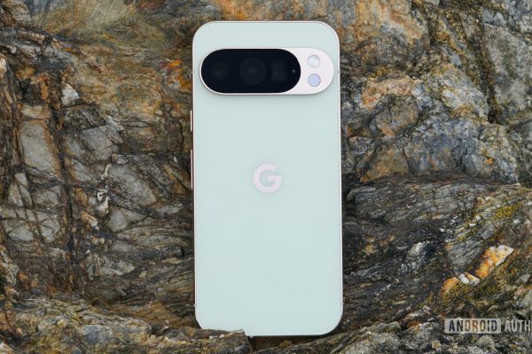 Il Problema Inaspettato di Pixel: eSIMs che Smettono di Funzionare Senza Spiegazioni