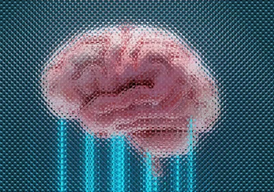La startup che coltiva organi in laboratorio: il rischio di separare identità biologica e mentale
