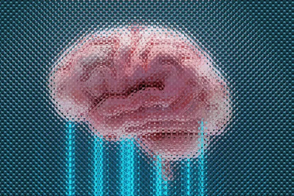 La startup che coltiva organi in laboratorio: il rischio di separare identità biologica e mentale