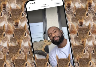 Come il papà scoiattolo più amato dal web ha creato un’app per fotocamere di successo